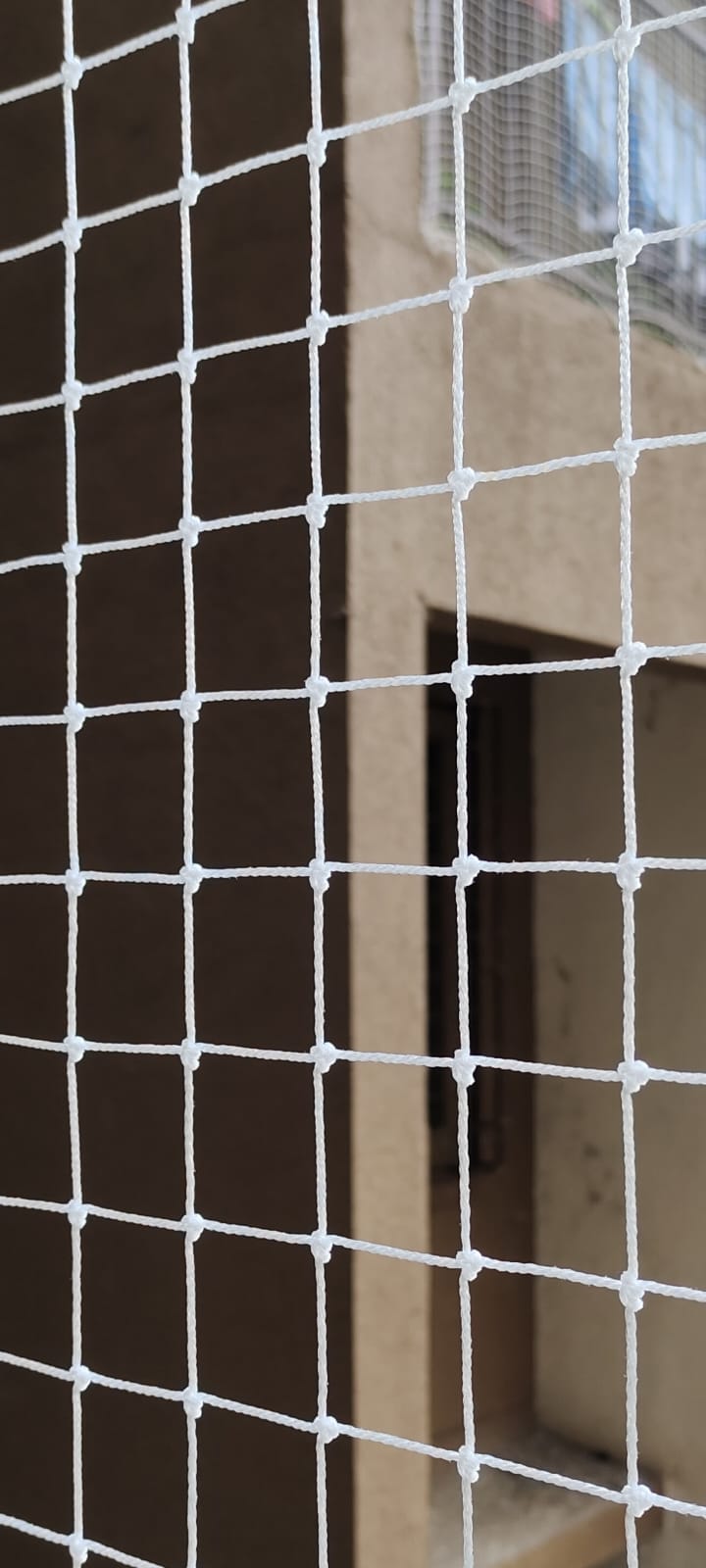 Cricket Nets